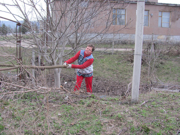 Ашрам магнитной сети «Звезда Преображения». Летопись Созидания. 2010 год