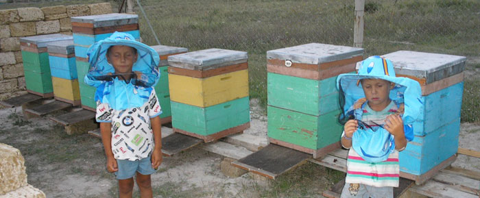 Пасека. Летопись Созидания. 2011 год Пасека. Летопись Созидания. 2011 год
