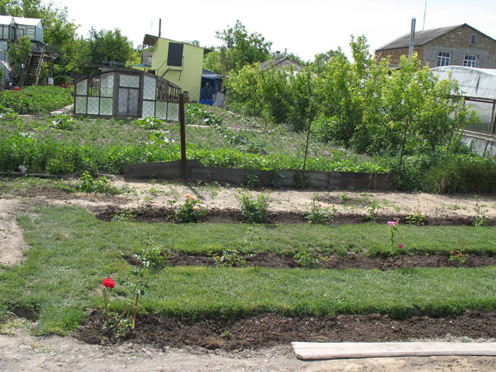 Сад Матери Мира. Летопись Созидания. 2008 год Сад Матери Мира. Летопись Созидания. 2008 год