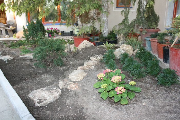 Сад Матери Мира. Летопись Созидания. 2008 год