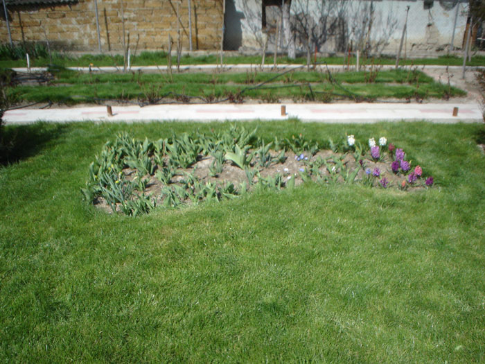 Сад Матери Мира. Летопись Созидания. 2009 год