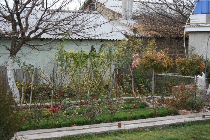 Сад Матери Мира. Летопись Созидания. 2009 год Сад Матери Мира. Летопись Созидания. 2009 год