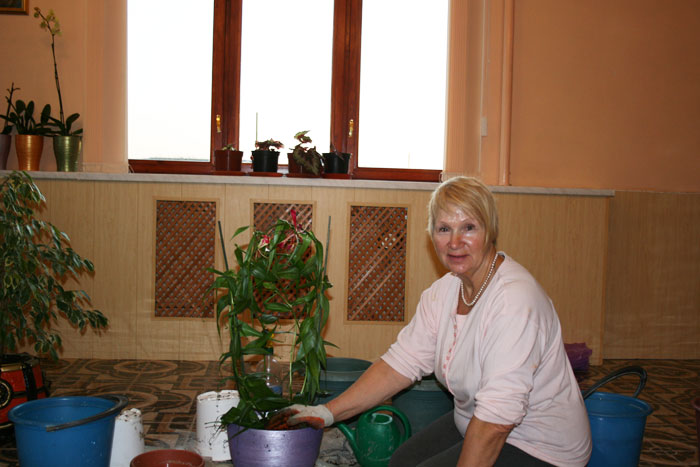 Зимний Сад. Летопись Созидания. 2009-2011 года